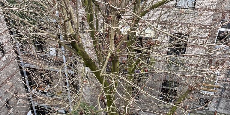 Winterlicher Ausblick in den Hof