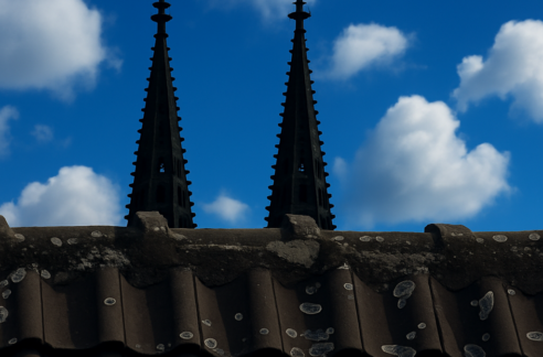 Domblick .... zumindestens die Spitzen :)