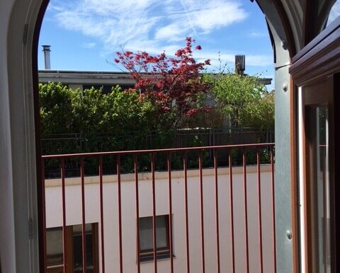 Ausblick pur ...