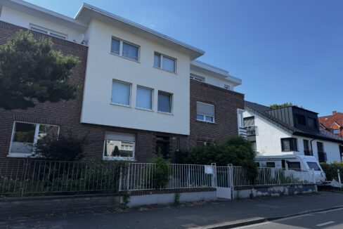 Straßenasnicht