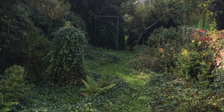 der Garten