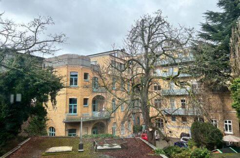 Blick vom hinteren Balkon
