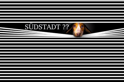 Ja- Südstadt ! Mittendrin !!