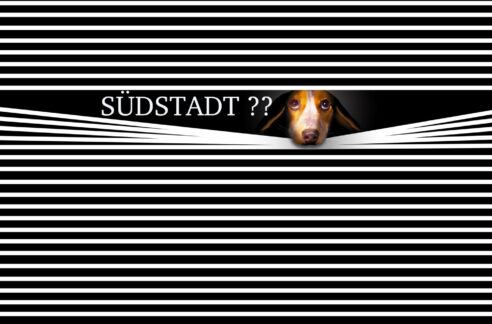 Ja- Südstadt ! Mittendrin !!